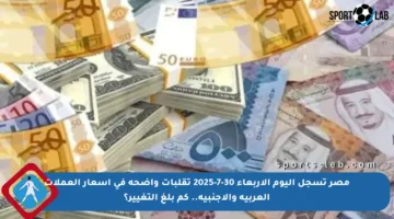 مصر تسجل اليوم الأربعاء 30-7-2025 تقلبات واضحة في أسعار العملات العربية والأجنبية.. كم بلغ التغيير؟